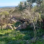 בית נופש Kiru Lovely - Su Cuile, Cala Ginepro מונטה פטרוסו