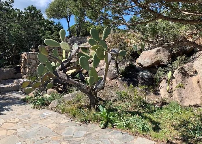 Kiru Lovely - Su Cuile, Cala Ginepro * 蒙特佩特罗素