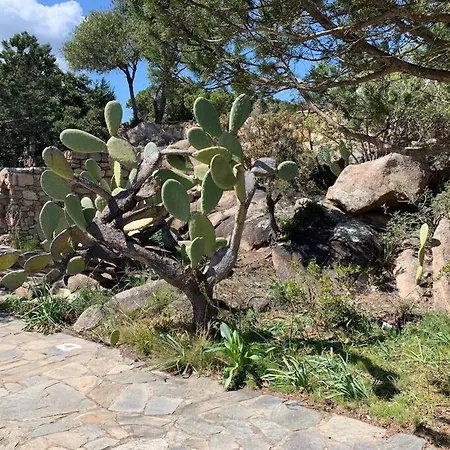 Kiru Lovely - Su Cuile, Cala Ginepro * Monte Petrosu