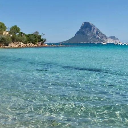 Su Cuile, Cala Ginepro - Vista Mare *