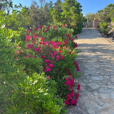 Kirù Lovely - Su Cuile, Cala Ginepro Hébergement de vacances Monte Petrosu